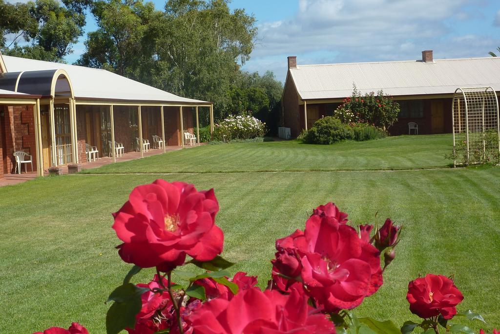 Coonawarra Place Motor Inn Extérieur photo
