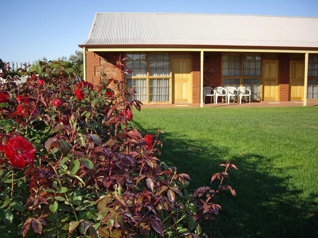 Coonawarra Place Motor Inn Extérieur photo