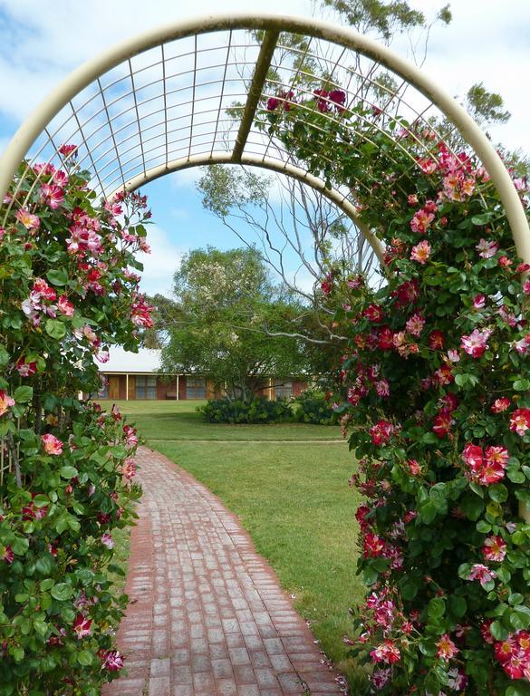 Coonawarra Place Motor Inn Extérieur photo