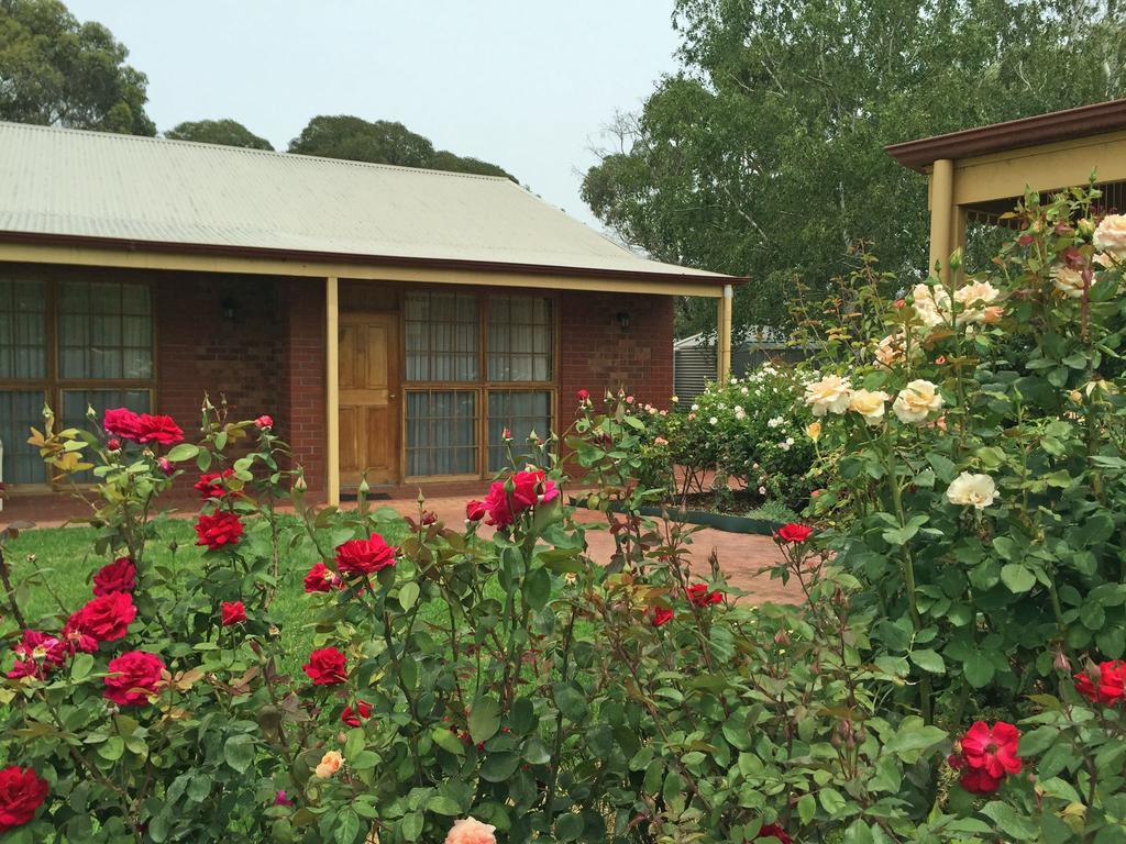 Coonawarra Place Motor Inn Extérieur photo