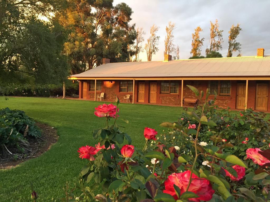 Coonawarra Place Motor Inn Extérieur photo