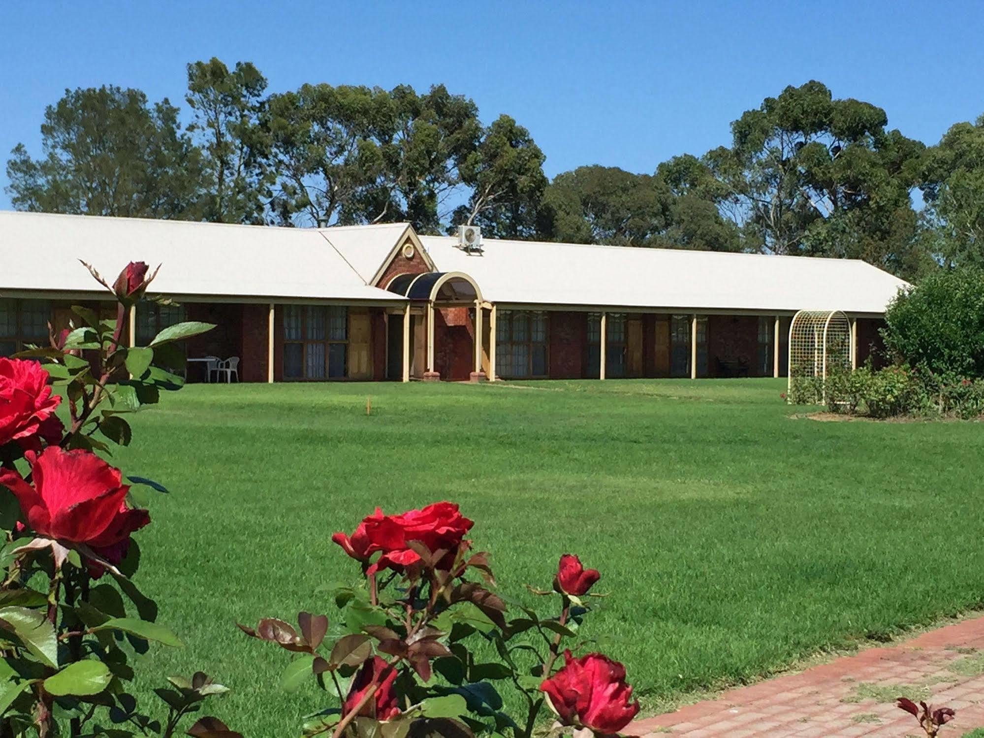 Coonawarra Place Motor Inn Extérieur photo