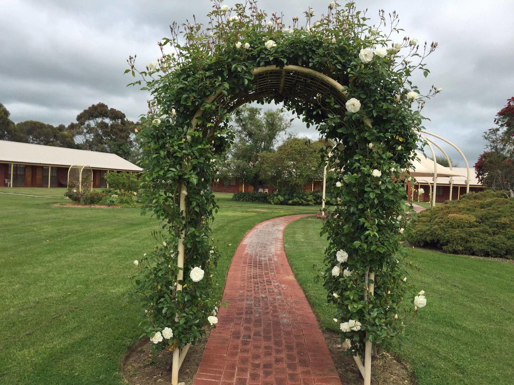 Coonawarra Place Motor Inn Extérieur photo