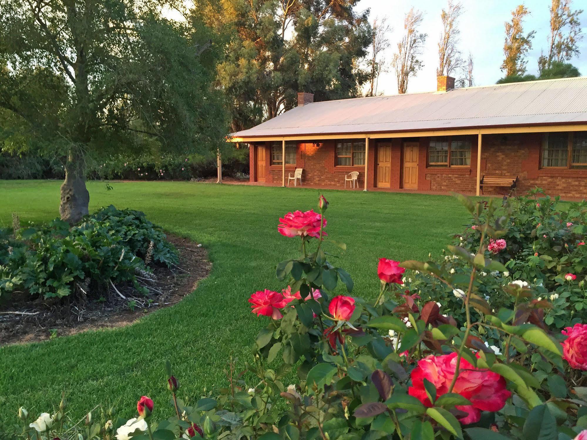 Coonawarra Place Motor Inn Extérieur photo