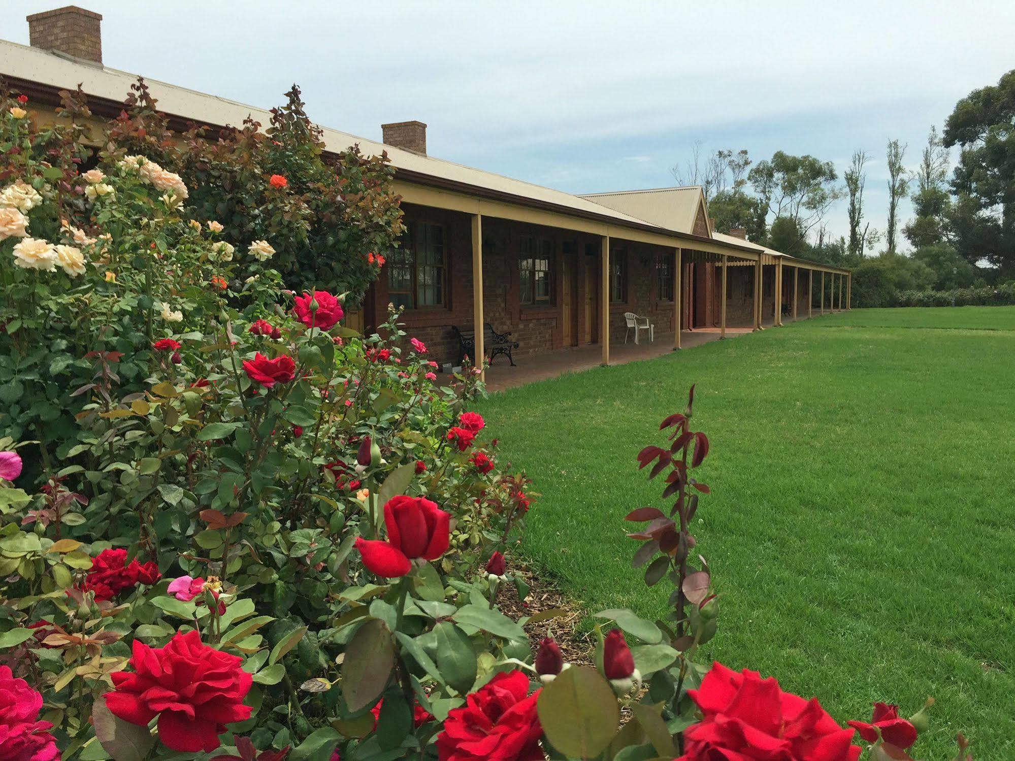 Coonawarra Place Motor Inn Extérieur photo