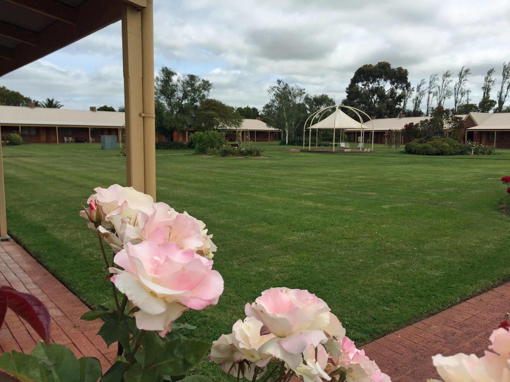 Coonawarra Place Motor Inn Extérieur photo